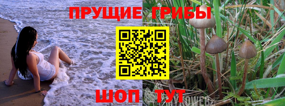 Шахты  Галлюциногенные грибы Cubensis  Вход с VPN 