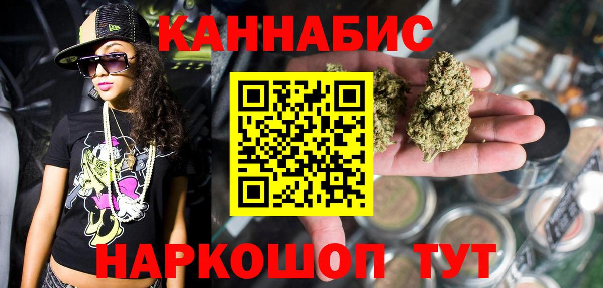 Конопля семена Шахты